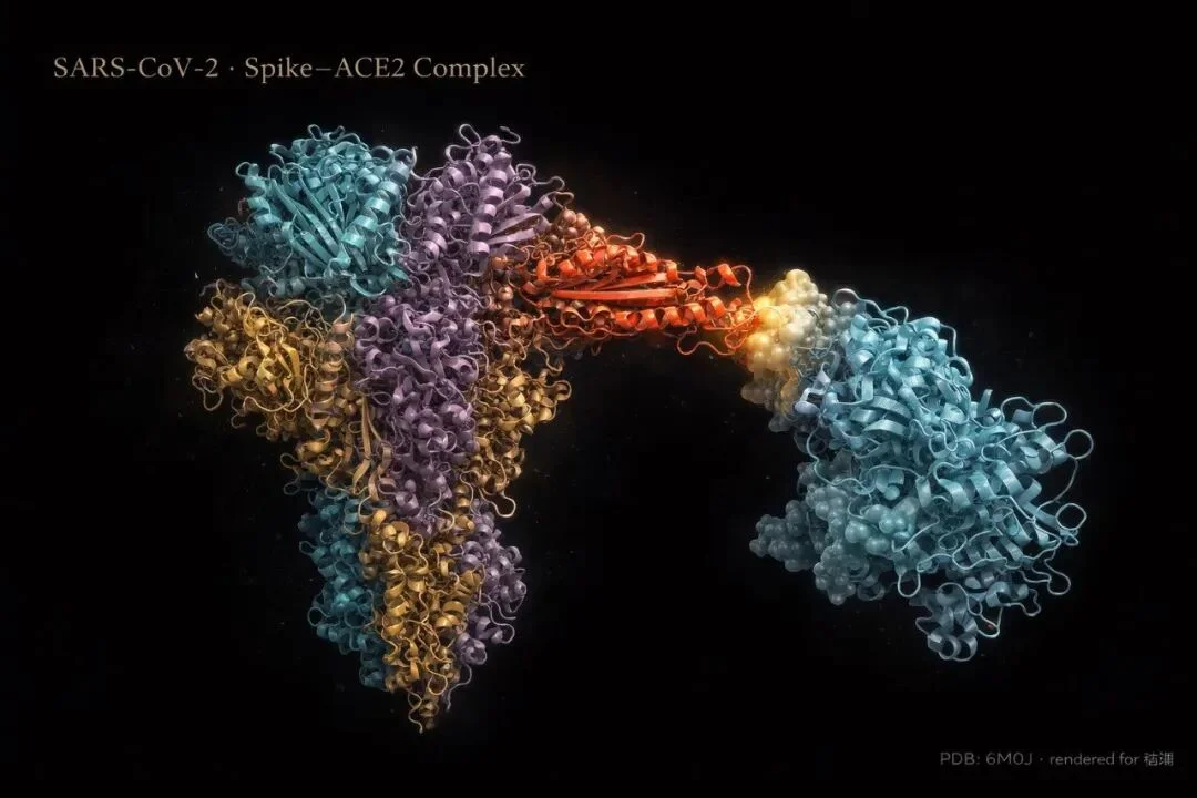 Molecular - Old Model
