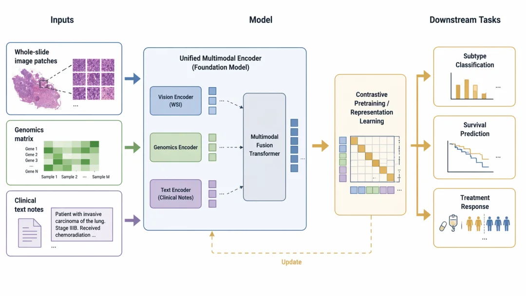 AI4Sci Pathology