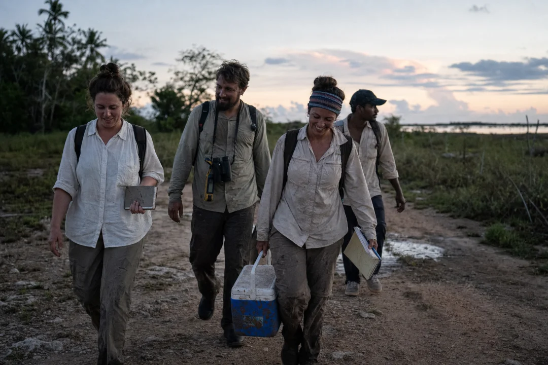 Field researchers returning